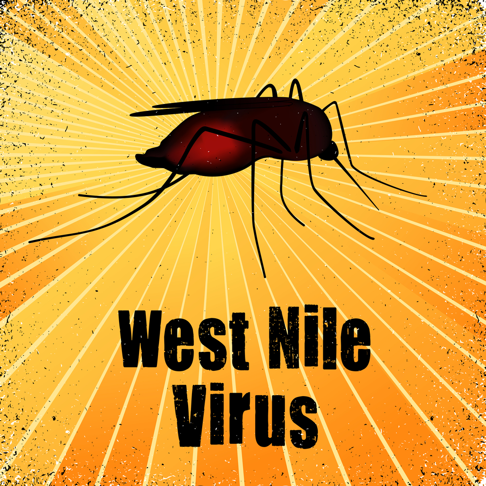 West Nile virus.jpg